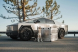 What Are the Best Tips for Road Tripping With Pets?